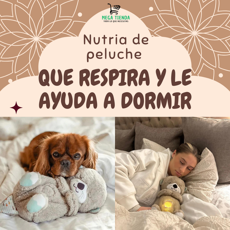 Nutria del Sueño™- Confort y Tranquilidad